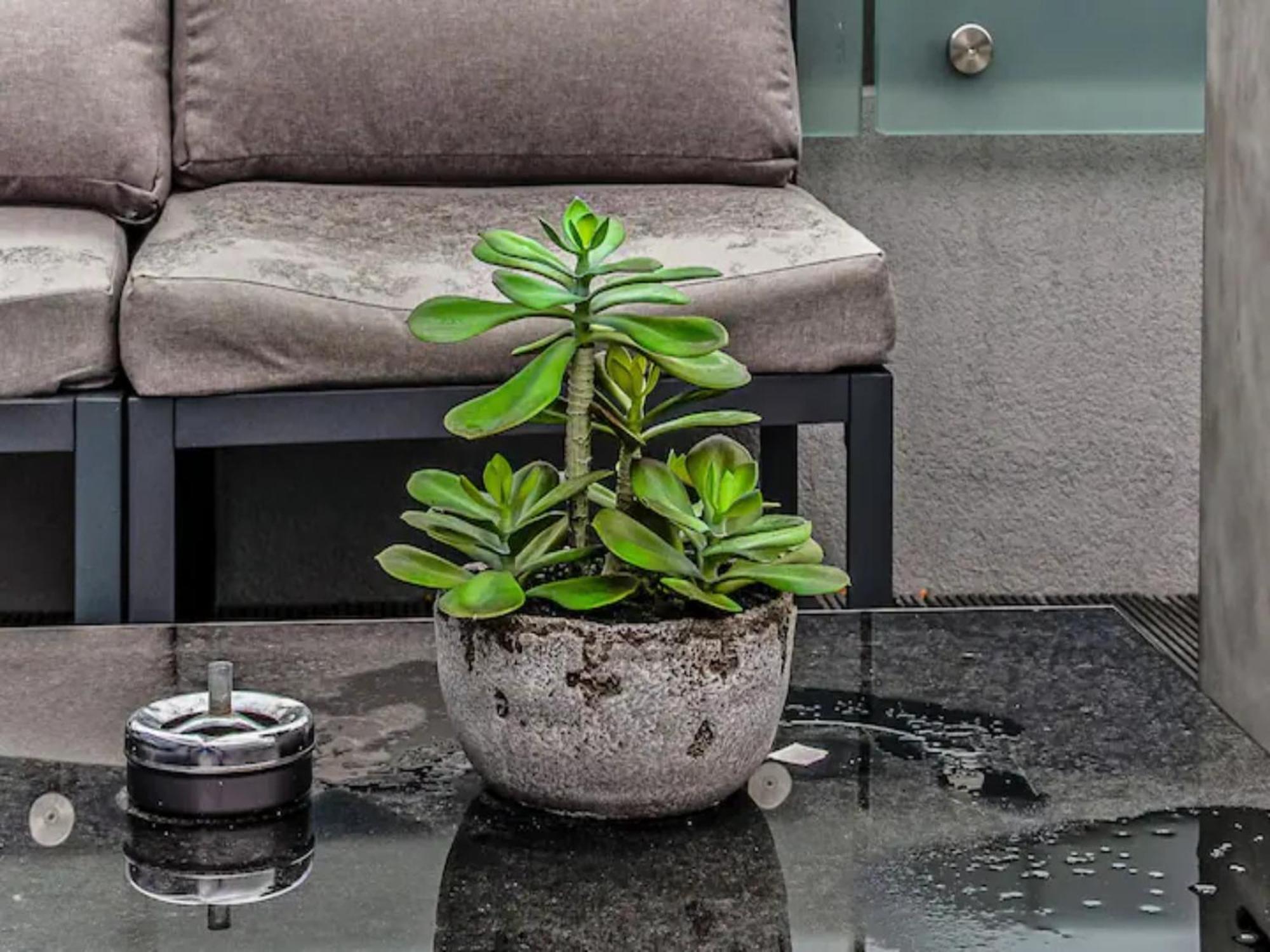 Pass The Keys Penthouse Oasis In Trendy Fulham Apartment ลอนดอน ภายนอก รูปภาพ